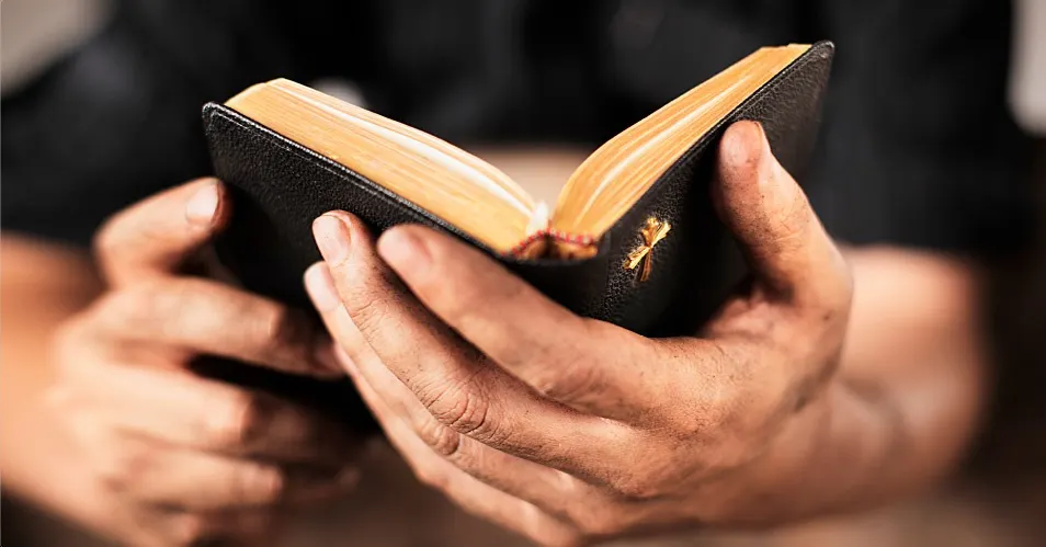 THE BIBLE 
