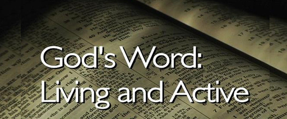How Do We Know the Bible Is from God?